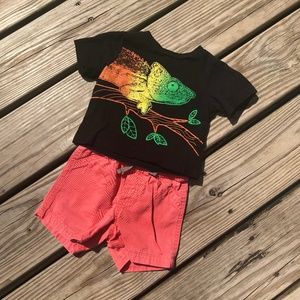 *3 for $9* Chameleon Shirt with matching Shorts